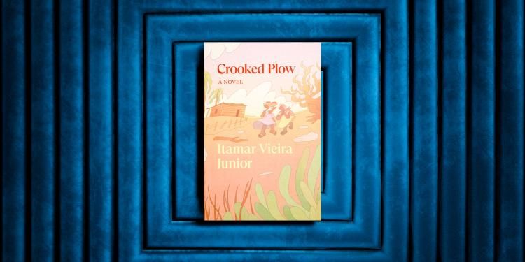 Front cover of Crooked Plow